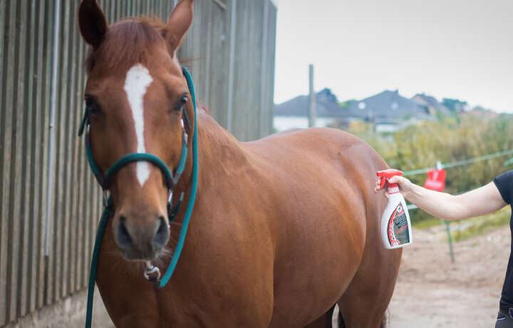 leovet Pferde-Insektenschutzspray Power Phaser